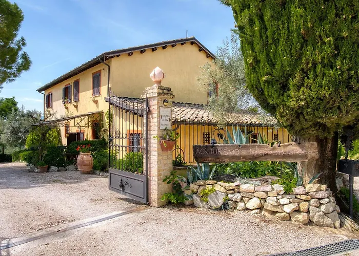 Il Grappolo E La Rosa - Sagrantino